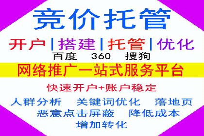 竞价推广公司案例揭秘：如何利用数据分析提升广告效果
